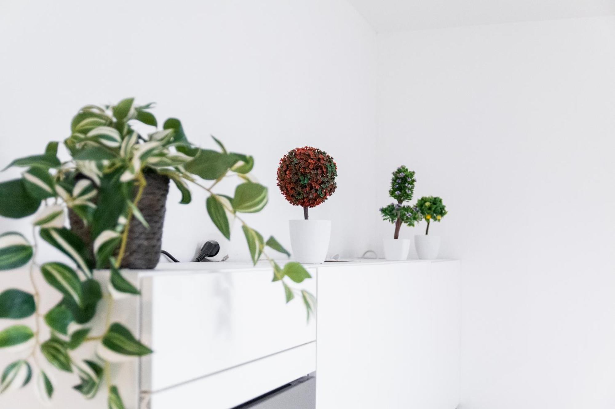 Apartment Cozy Minimalist Retreat In The Heart Of Prague